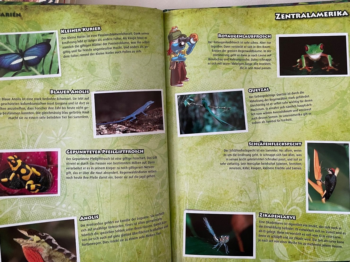 WWF Album: Abenteuer Regenwald – Usato da Urdorf venduto da Anassor 2