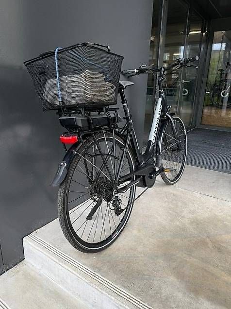 Biciclette: Crosswave Eco – Usato da Schönholzerswilen venduto da Biker00 3