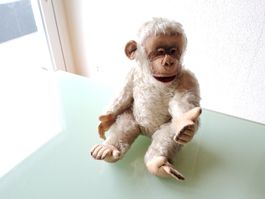 Peluche ancienne, singe Steiff 