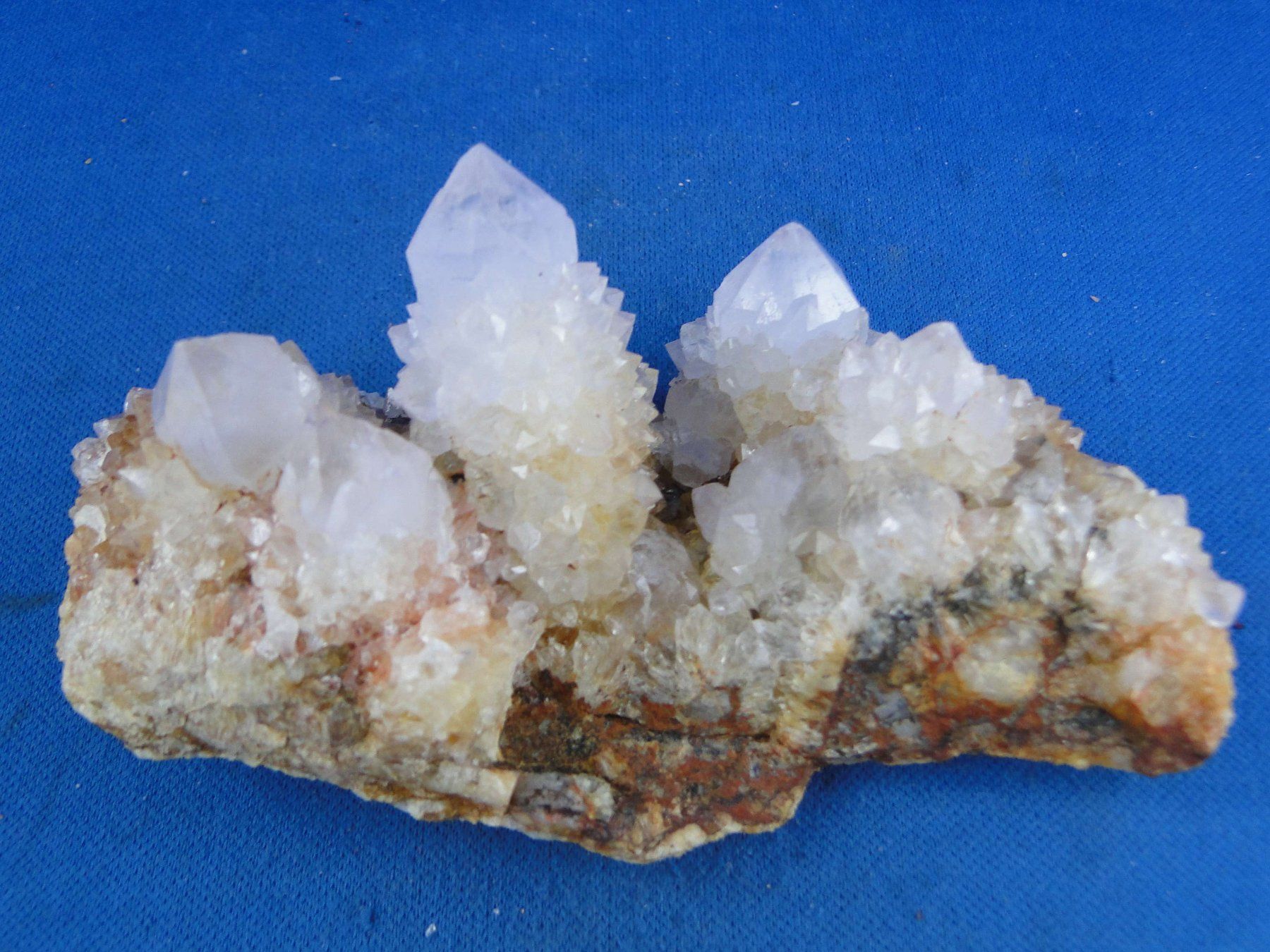 Minerali & Pietre curative: Quartz var. Amethyst & Kaktus – Nuovo e nell'imballaggio originale da Schinznach Bad venduto da Demerald 6