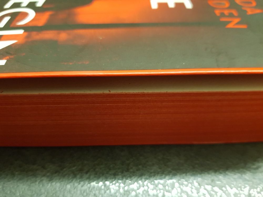 DIE KOLLEGIN / Freida McFADDEN /Bestseller Thriller 2025 (Gebraucht) in