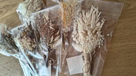 Trockenblumen-Sträusse  Neu