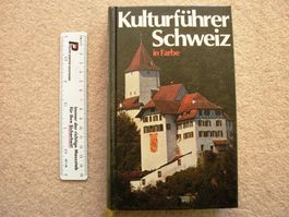 Kunstführer Schweiz - in Farbe,  Niklaus Flüler - 1982
