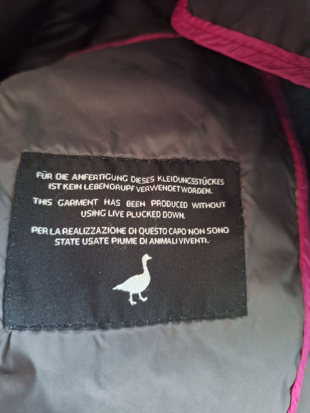 Vestes: Daunenjacke – D'occasion à Mumpf par SwissDi 2
