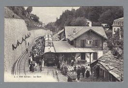 SALVAN, *, LA GARE AVEC TRAIN, TRÈS ANIMÉE, BELLE CARTE!