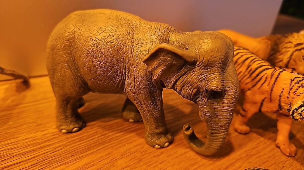 Inkdotpot DIY Dinosaurier & Dschungeltiere Einladungskarten – 30 Stück, Leer, Zum Selbstbeschriften