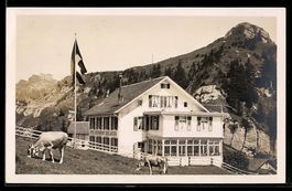 Rigi, Rigi-Staffelhöhe, Hotel und Resta