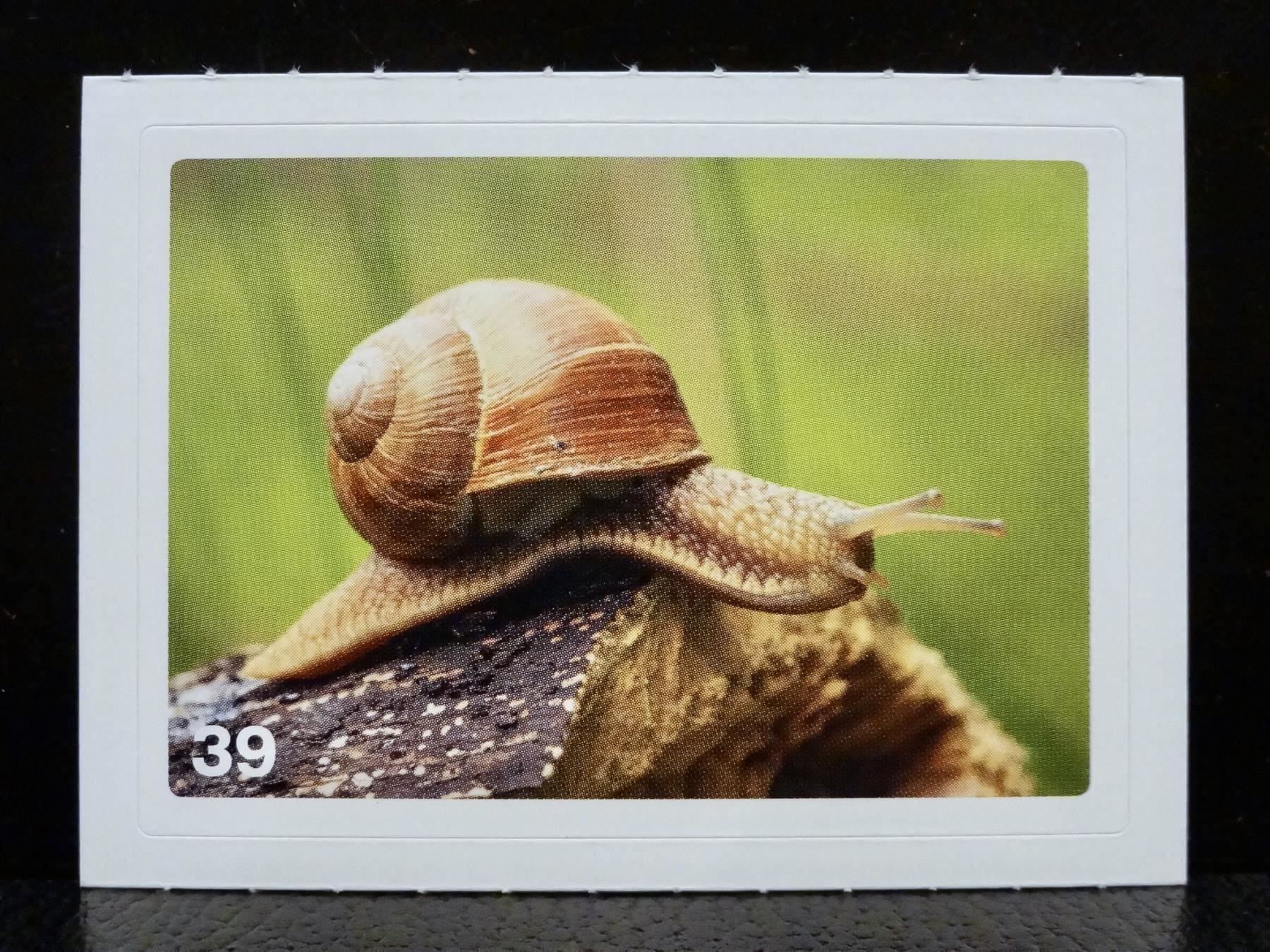 Migros Carte collezionabili: MIGROS MANIA Nature Detectives Nr. 39 – Usato da Kerzers venduto da zimmergruen