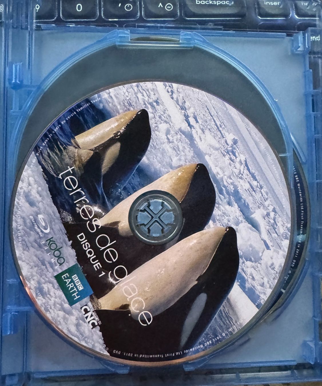 Tutti i DVDs: Blu-ray Terres de glace (2011) – Usato da Semsales venduto da __Florian__ 3