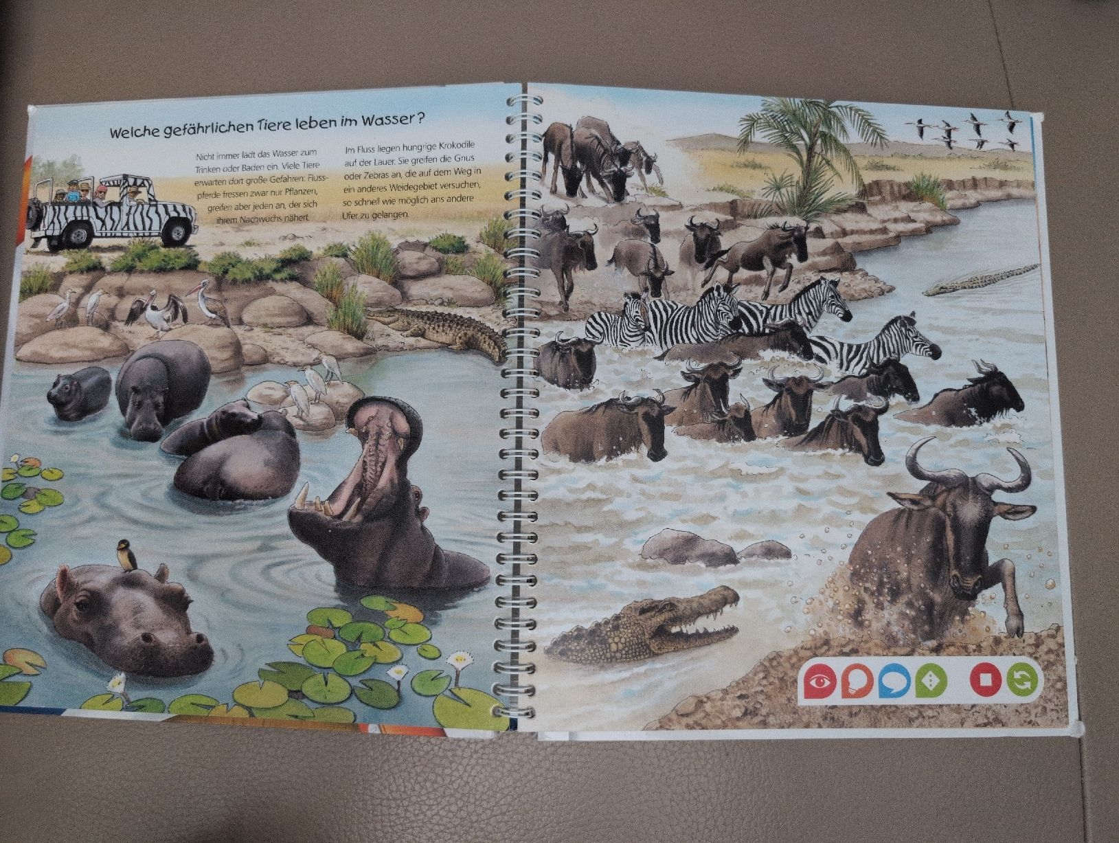 Libri: tiptoi Entdecke die Tiere Afrikas Buch – Usato da Schwerzenbach venduto da _charme_ 4