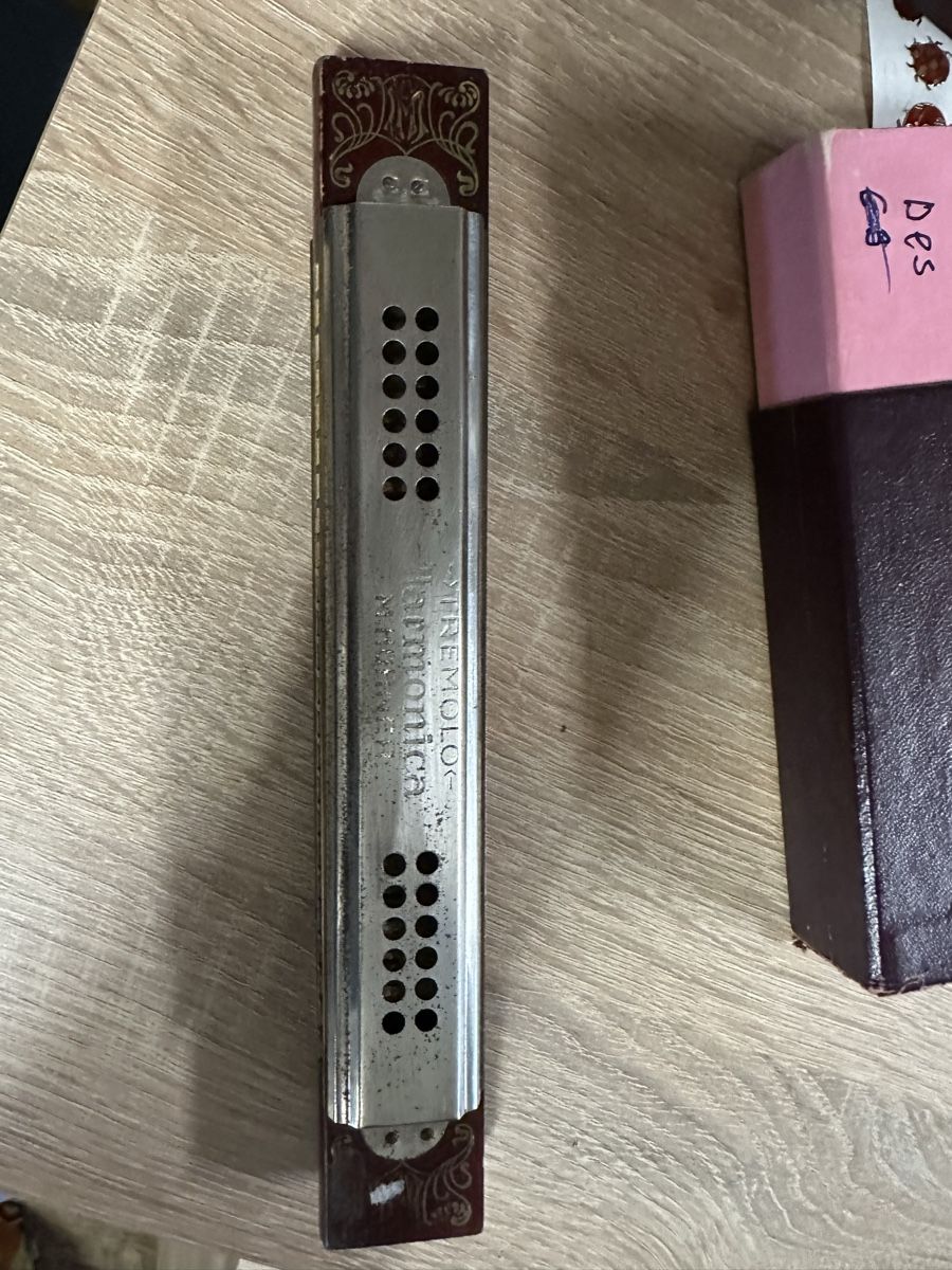 Hohner Strumenti musicali: M. Hohner, Mundharmonika Tremolo – Usato da Schöftland venduto da Astika 2