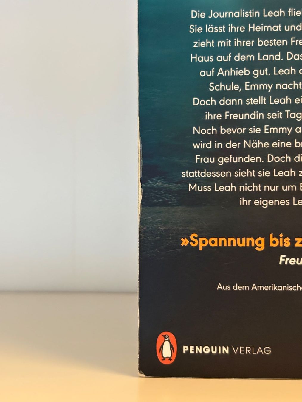 Libri: Little Lies - Megan Miranda – Usato da Steffisburg venduto da elsa.catalina 2