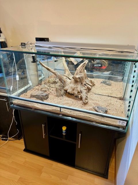 OSB terrarium, houten terrarium, 120 x 60 x 80 cm, met zijventilatie