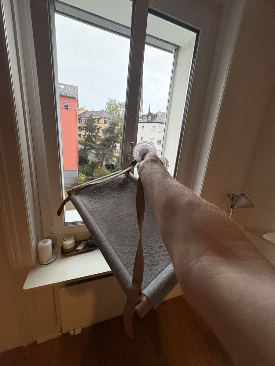 Jouets: Cat Window Perch – D'occasion à Zürich par eda_b878 1