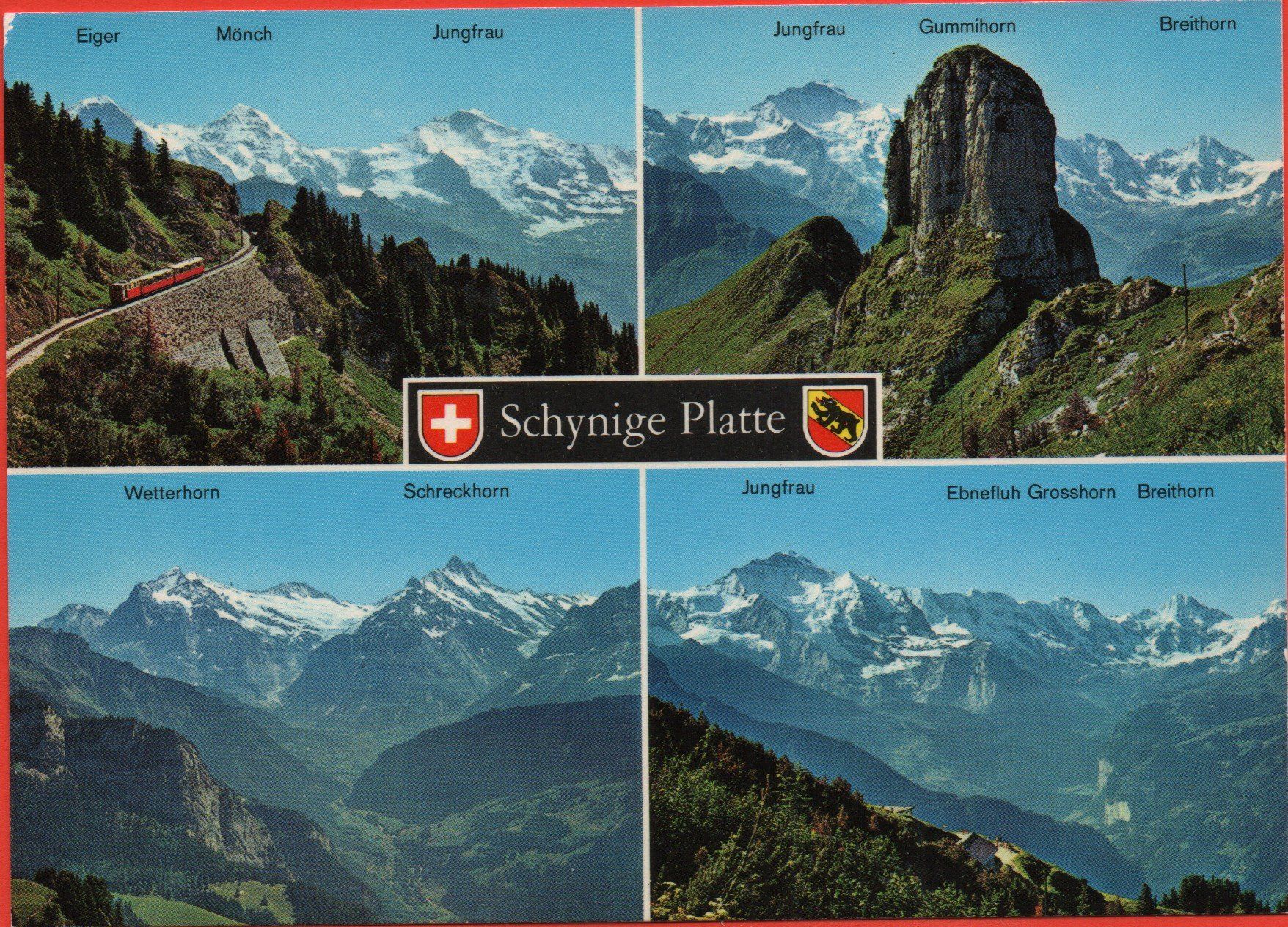 Ansichtskarten: 4 Ansichtskarten SCHYNIGE PLATTE Hotel, Bahn, Alpenblumen – Neu (gemäss Beschreibung) aus Jona von philajona 1