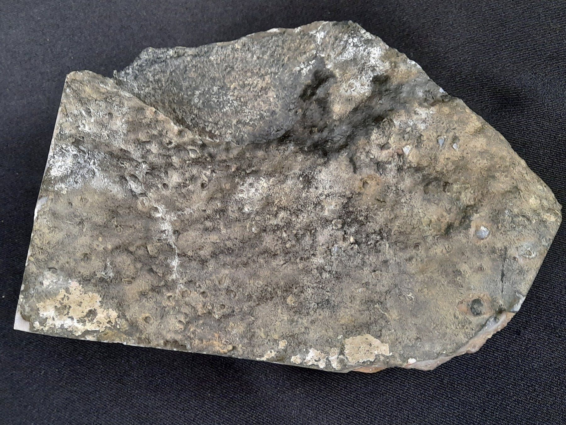 Mineralien & Heilsteine: Amethyst Geode Rosa – Gebraucht aus Beinwil am See von Restwert_Beinwil 6