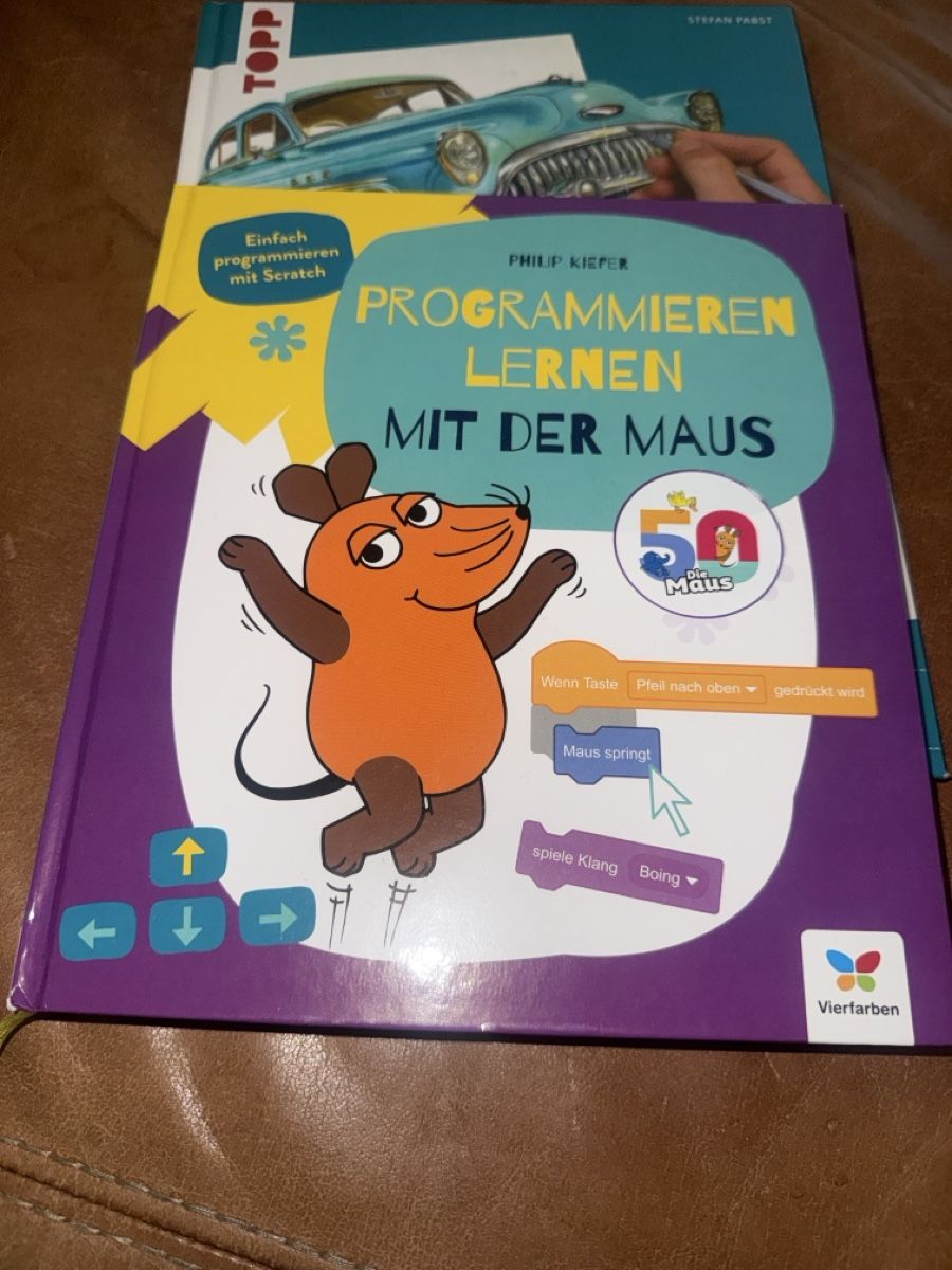 Libri: Zwei Tolle Bücher: 3D Zeichnen und Programmieren – Usato da Spreitenbach venduto da BIH2005 3