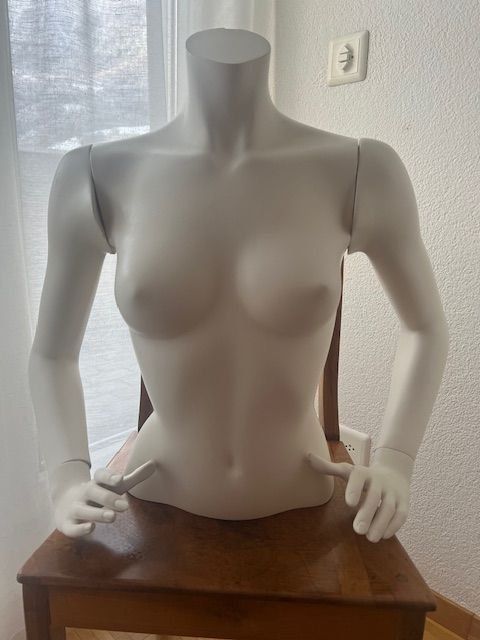 Autres décorations & accessoires: Büste stabil – Neuf (Voir description) à Walenstadt par ricamul