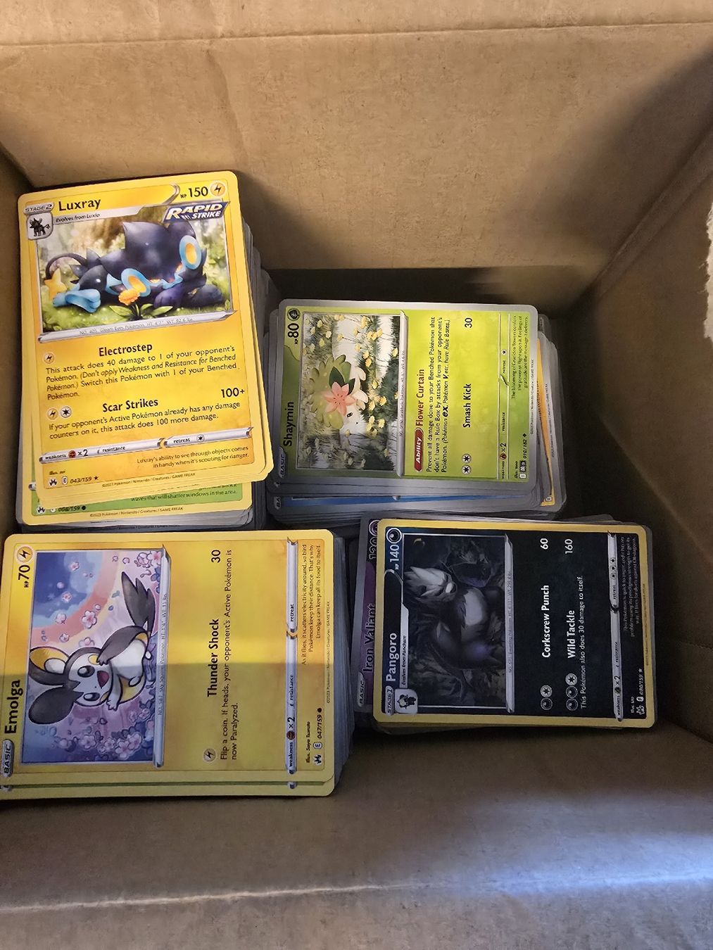 Pokémon Carte collezionabili: Bulk pokemon EN – Nuovo (secondo la descrizione) da Olten venduto da Pokemon2all 3