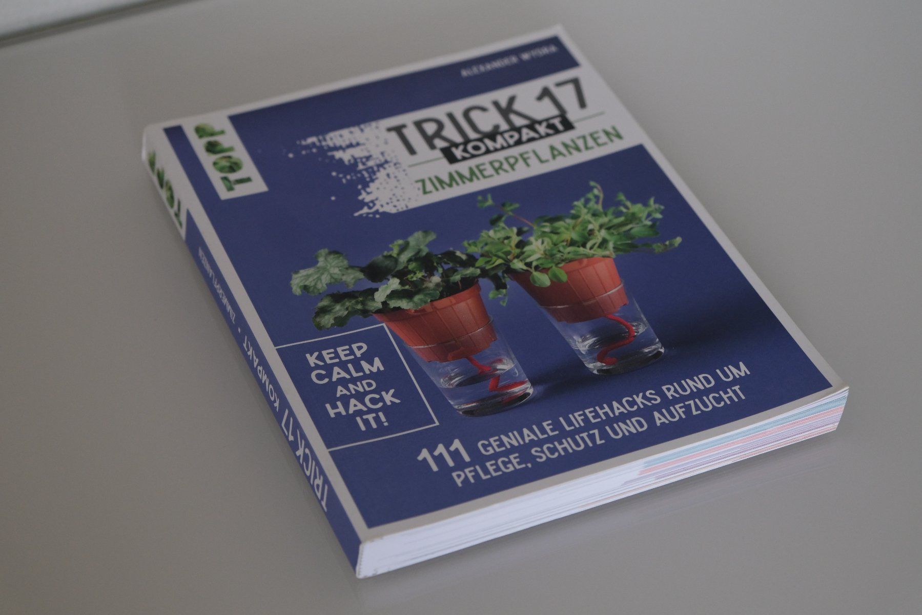 Bücher: Trick 17 Kompakt Zimmerpflanzen Buch – Gebraucht aus Olten von RABe2000