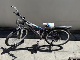 Mountain bike