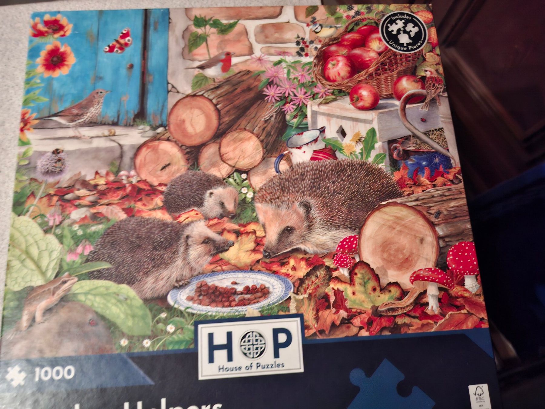 Puzzles: Puzzle 1000 Teile Igel Motiv – Gebraucht aus Schönholzerswilen von clyde123