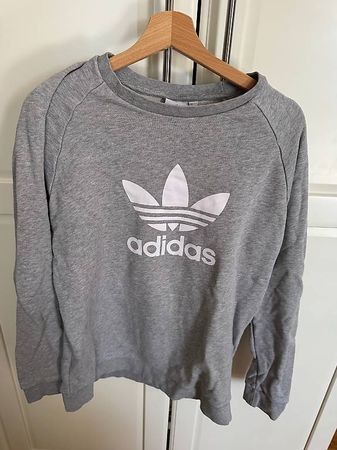Adidas Sweater Herren