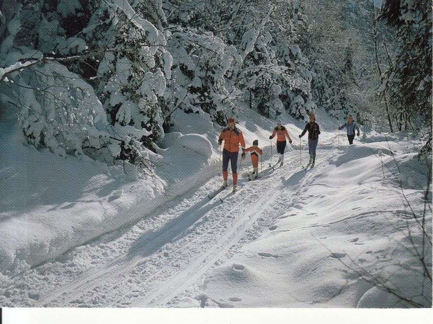 Cartes postales: Skiwandern 1985 – D'occasion à Bürglen TG par StampGraf