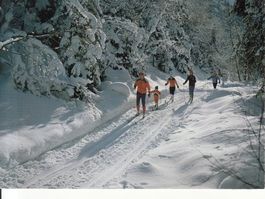 Skiwandern 1985