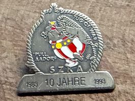 Pin