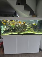Juwel Rio 450 weiss KOMPLETT