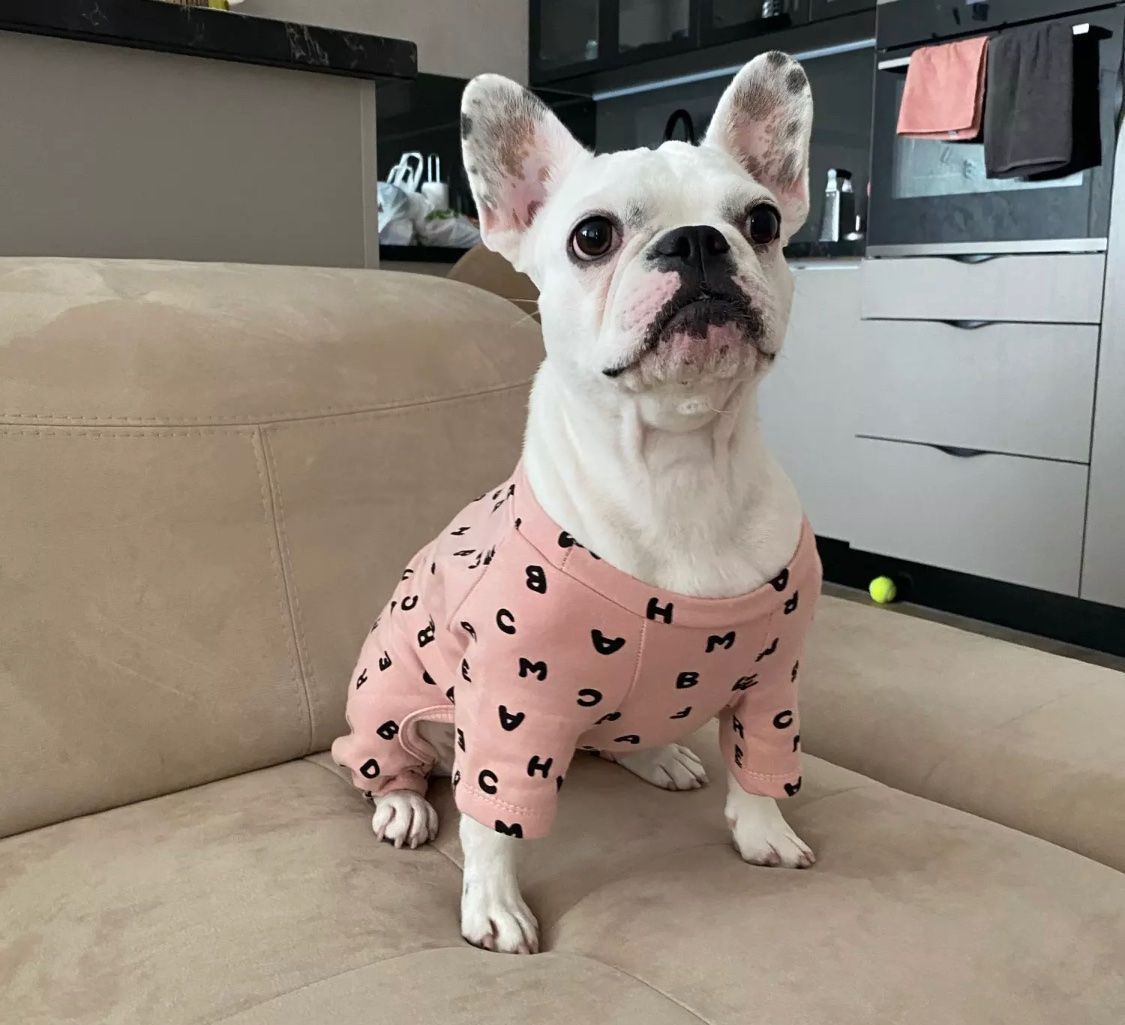 Abbigliamento: Hunde Pyjama XL – Nuovo (secondo la descrizione) da Root venduto da NaBr76