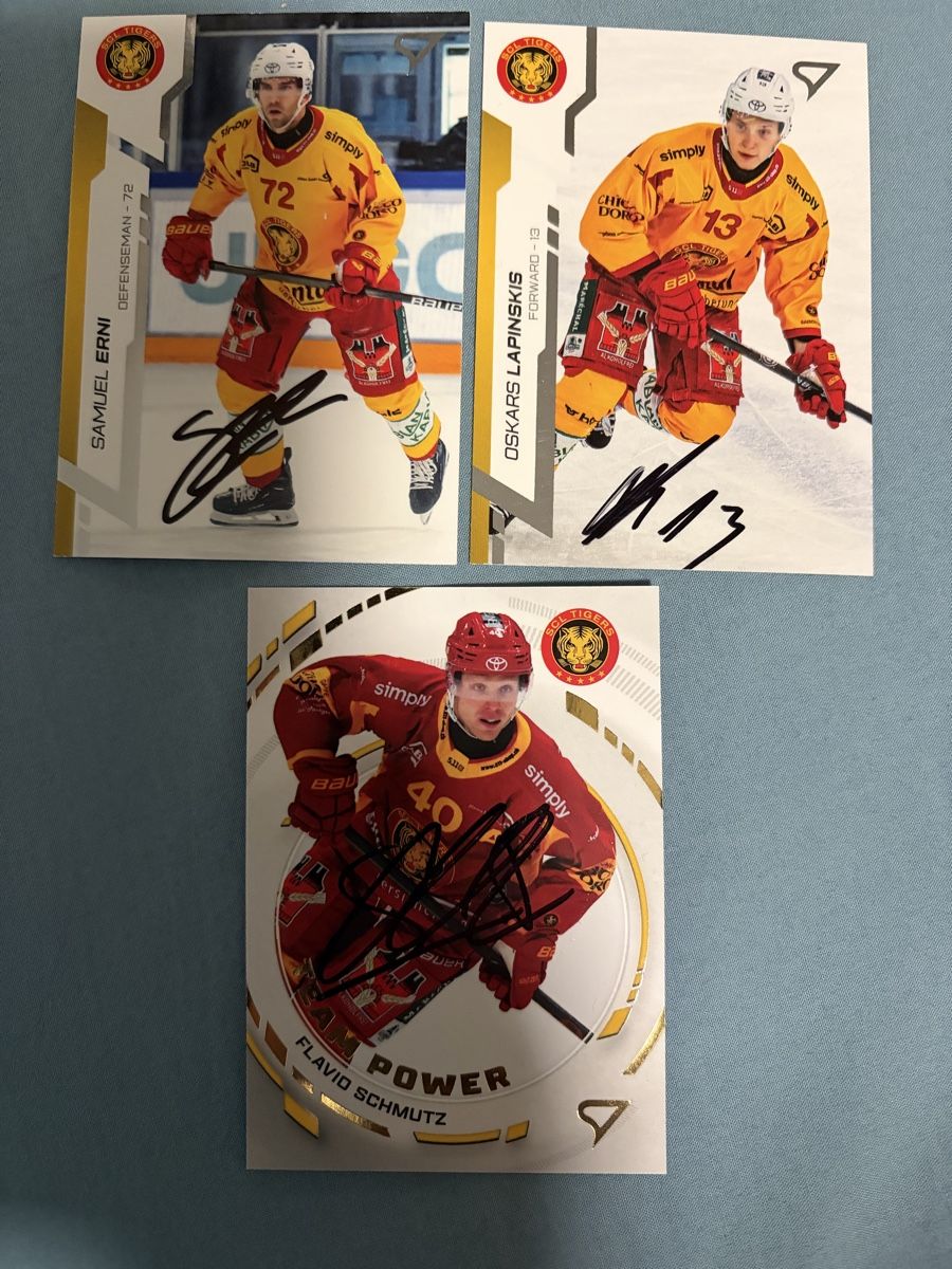 NHL Carte collezionabili: SCL Tiger Hockey Card  – Usato da Meierskappel venduto da Cc19