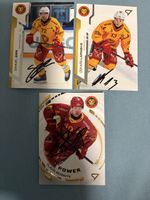SCL Tiger Hockey Card 