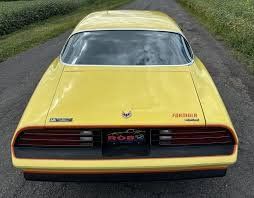 Heckscheibe für  Pontiac Firebird TA und Camaro Jg. 76-81