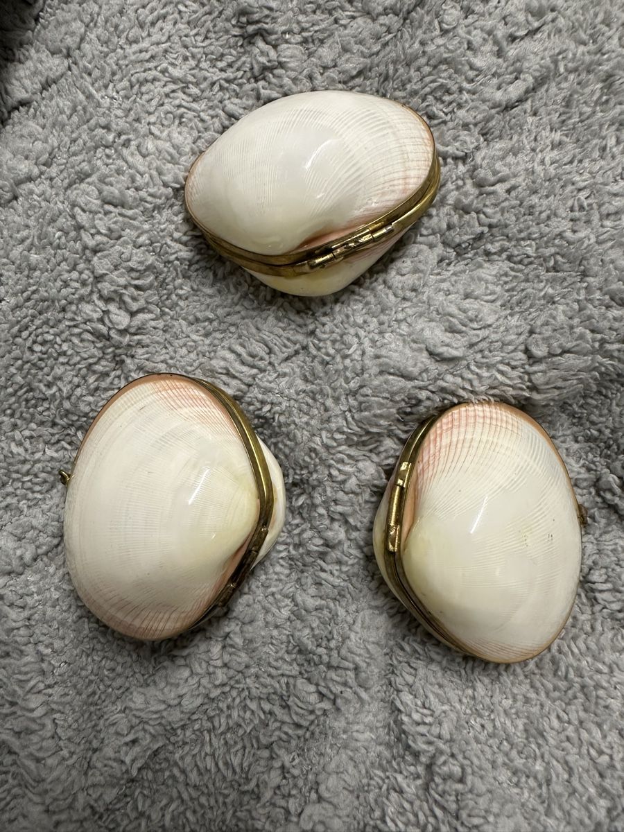 Tutte le decorazioni: Antike Pillendose Muscheln  – Usato da Oberentfelden venduto da vilibrand 5