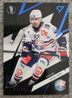 Sportzoo Denis Malgin ZSC Lions 09/60 Playoffs series