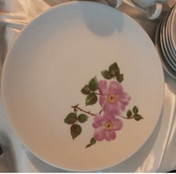 Set di piatti: Sehr schöne Kaffeservice – Usato da Urtenen-Schönbühl venduto da sep_k9jk 1
