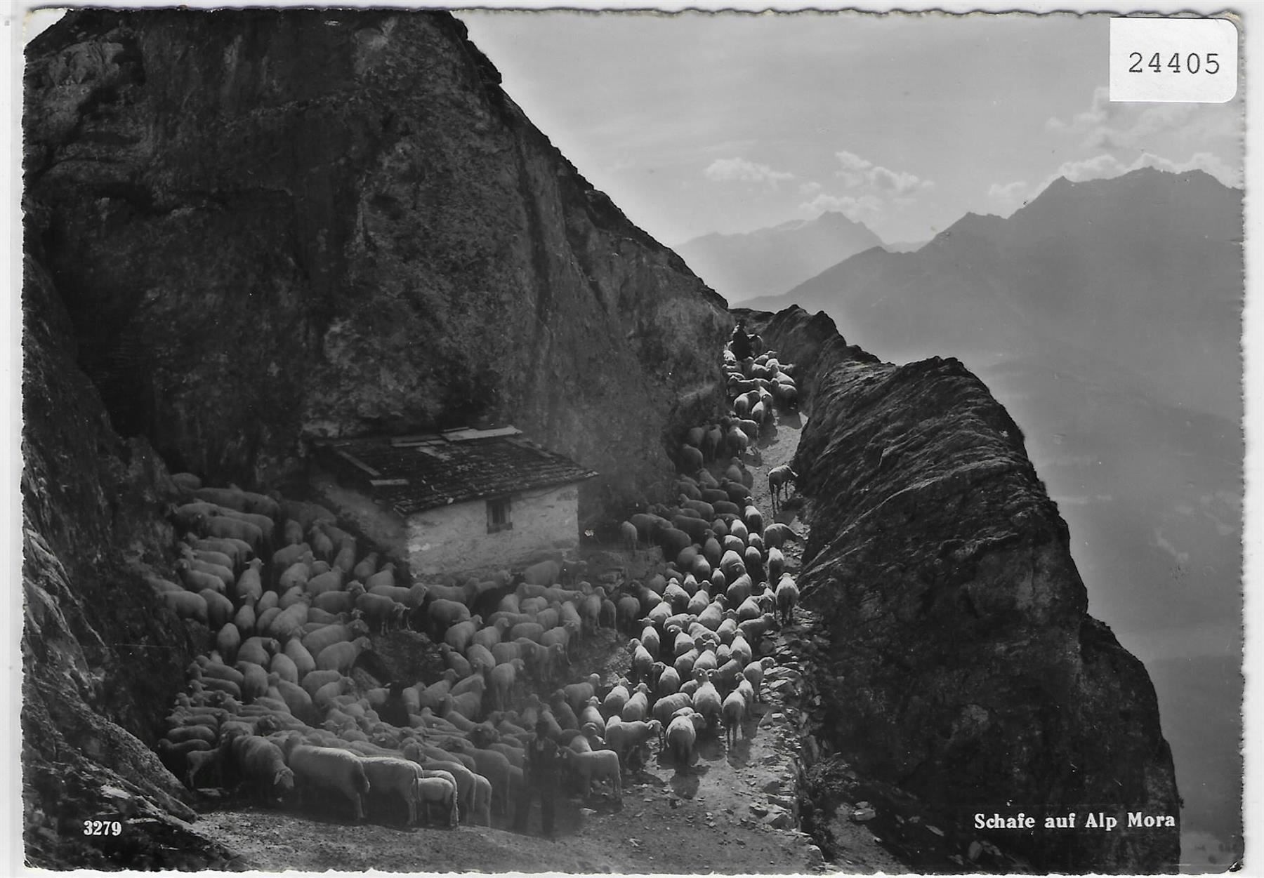 Cartoline postali: Schafe auf Alp Mora – Antico da Ettingen venduto da Kartenplanet