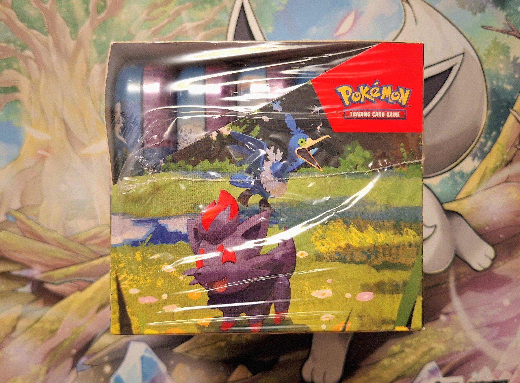 Pokémon Sammelbilder & Trading cards: Pokemon Ascended Heroes Tin Display Sealed – Neu und originalverpackt aus Küsnacht ZH von nichuu 2