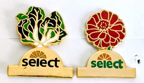 Placchette & Badge: 2 Pin  Select – Usato da Pfäffikon ZH venduto da Colacity