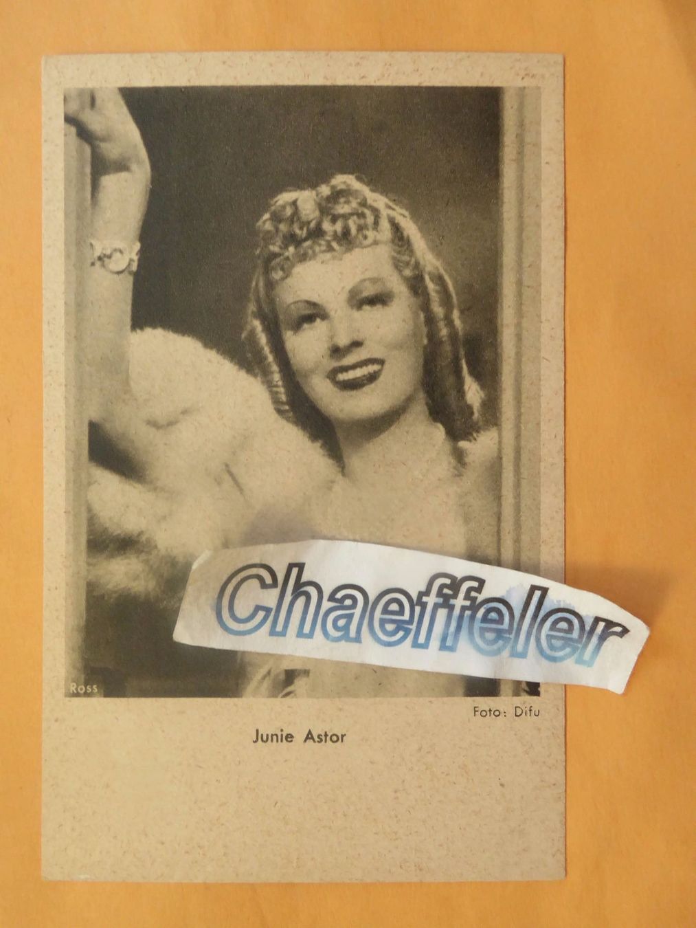 Cartes postales: Junie Astor – Neuf (Voir description) à Zürich par Chaeffeler