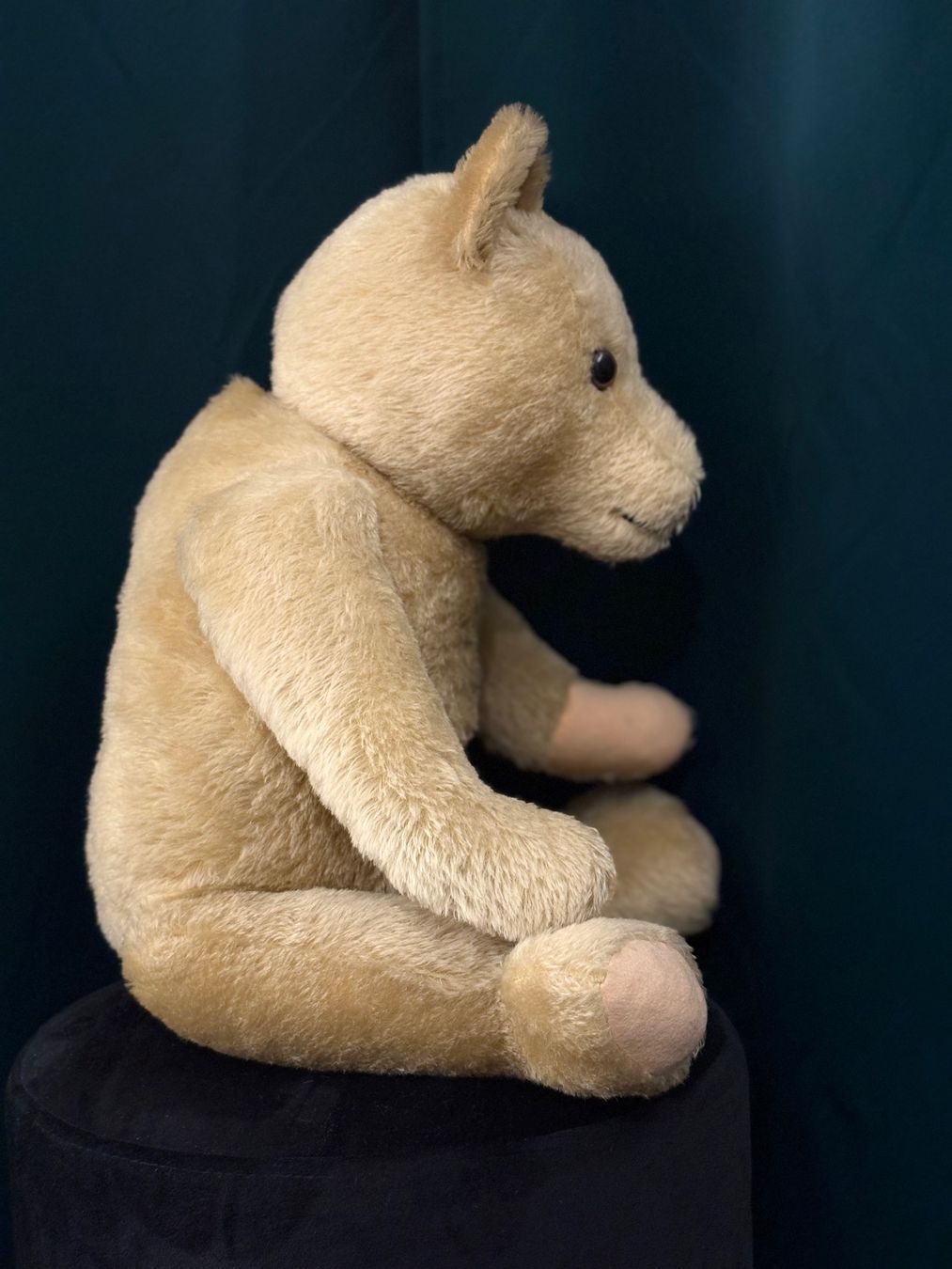 Giocattoli: Klassischer Mohair Teddybär mit Brummstimme – Usato da Horgen venduto da sven.gryspeerdt 2