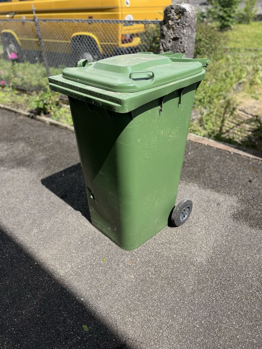 Banconi: Grüntonne gross – Usato da Bennwil venduto da Mseko
