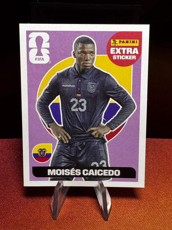 Moises Caicedo / Panini WM 2026 Extra Sticker / Purple (Neu (gemäss ...