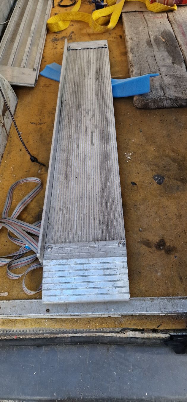 Altro: 2x Alu Rampe, Rollstuhlrampe Aufladehilfe – Usato da Tagelswangen venduto da Axel_36
