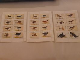 Rare Collection de Timbres Nagaland - Oiseaux Exotiques 🐦🕊