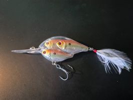 Fisch in Fisch Wobbler