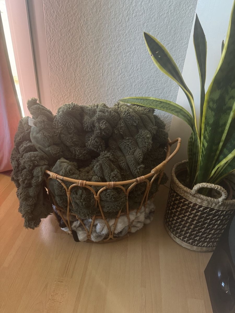 Altro per la casa: Korb SNIDAD IKEA – Usato da Rüti ZH venduto da Mysticphoenix.mel