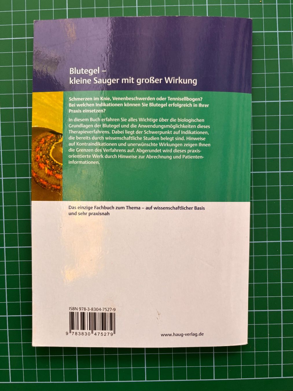 Bücher: Blutegeltherapie Verlag Thieme, farbig, 149 S. – Gebraucht aus Wald ZH von ukulele77 1